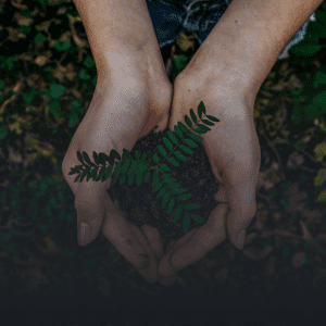 conservación del medio ambiente a través de la tecnología